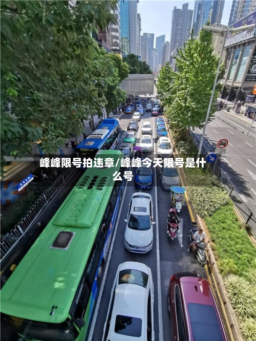 峰峰限号拍违章/峰峰今天限号是什么号