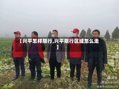 【兴平怎样限行,兴平限行区域怎么走】-第2张图片
