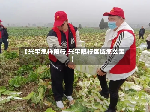 【兴平怎样限行,兴平限行区域怎么走】-第3张图片