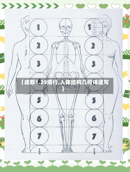 【成都1.29限行,人体结构几何体速写】