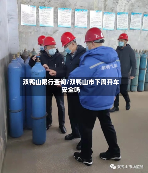 双鸭山限行查询/双鸭山市下周开车安全吗