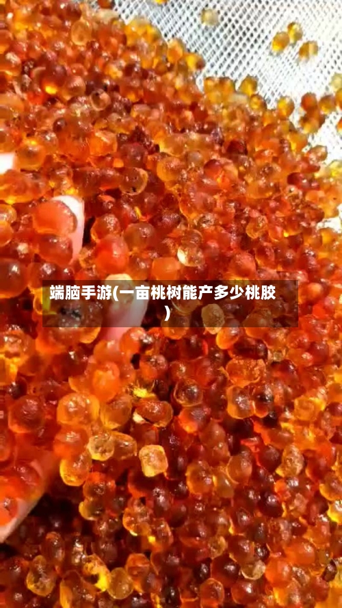 端脑手游(一亩桃树能产多少桃胶)