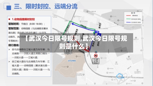 【武汉今日限号规则,武汉今日限号规则是什么】-第3张图片