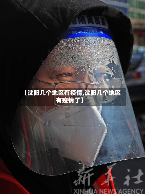 【沈阳几个地区有疫情,沈阳几个地区有疫情了】