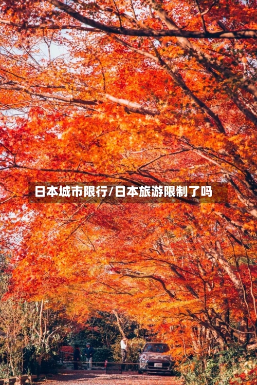 日本城市限行/日本旅游限制了吗
