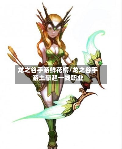 龙之谷手游鲜花榜/龙之谷手游土豪超一线职业-第2张图片