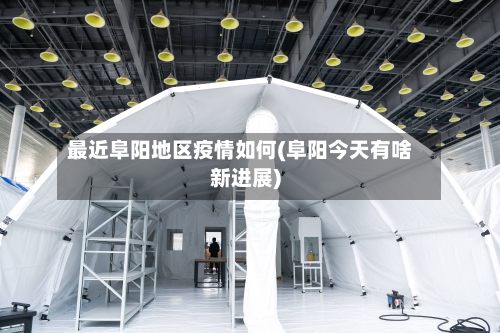 最近阜阳地区疫情如何(阜阳今天有啥新进展)-第3张图片