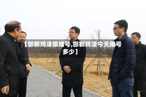 【邯郸鸡泽限啥号,邯郸鸡泽今天限号多少】-第2张图片
