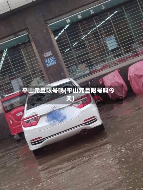 平山元旦限号吗(平山元旦限号吗今天)-第3张图片