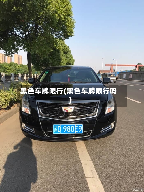 黑色车牌限行(黑色车牌限行吗)-第2张图片