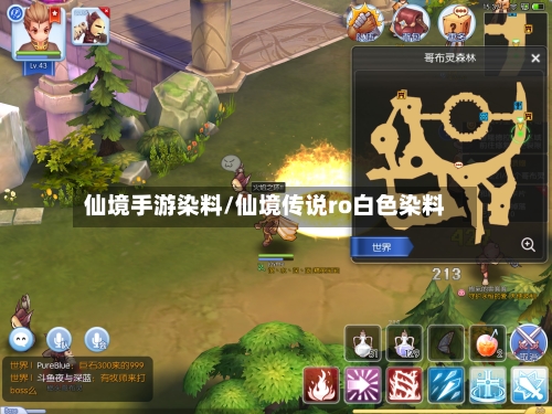 仙境手游染料/仙境传说ro白色染料