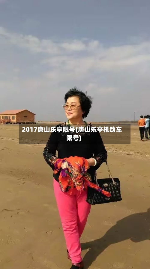 2017唐山乐亭限号(唐山乐亭机动车限号)