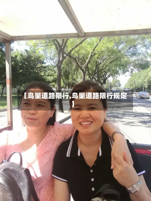 【鸟巢道路限行,鸟巢道路限行规定】-第2张图片