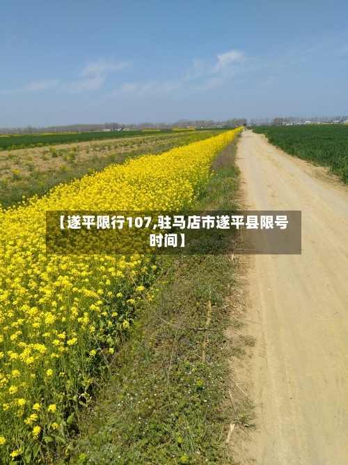 【遂平限行107,驻马店市遂平县限号时间】-第3张图片