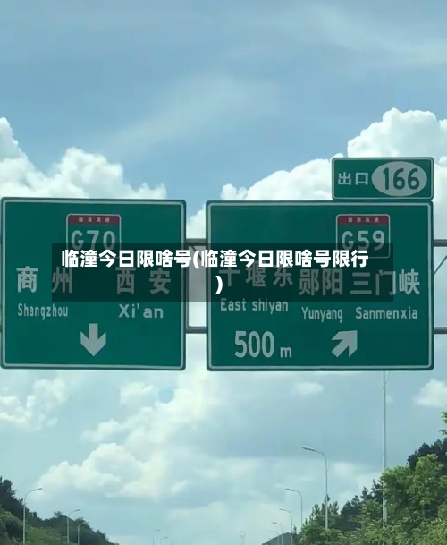 临潼今日限啥号(临潼今日限啥号限行)-第2张图片