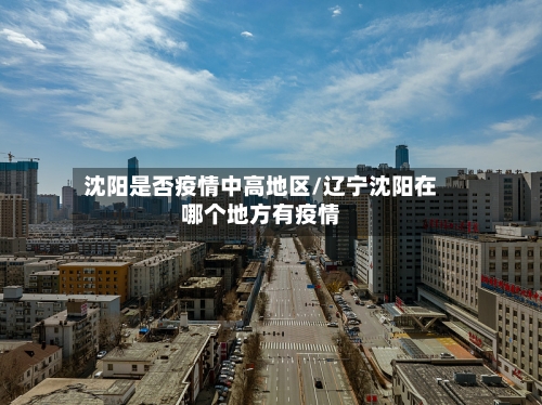 沈阳是否疫情中高地区/辽宁沈阳在哪个地方有疫情
