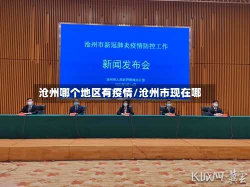 沧州哪个地区有疫情/沧州市现在哪-第2张图片