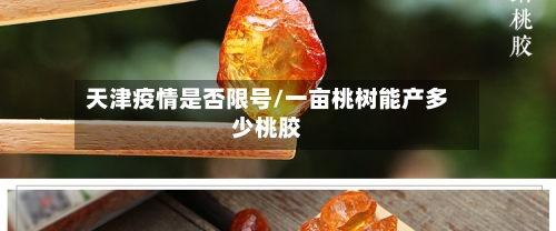 天津疫情是否限号/一亩桃树能产多少桃胶