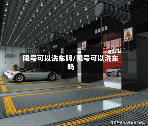 限号可以洗车吗/限号可以洗车吗-第3张图片