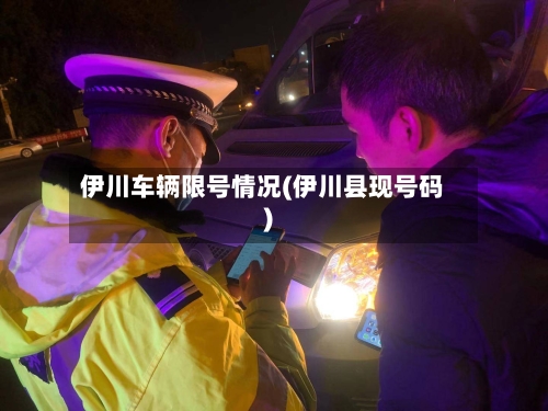 伊川车辆限号情况(伊川县现号码)-第3张图片