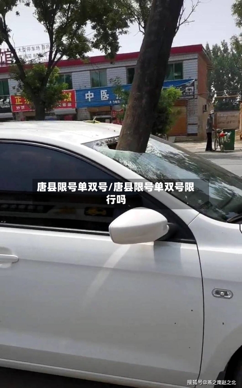 唐县限号单双号/唐县限号单双号限行吗