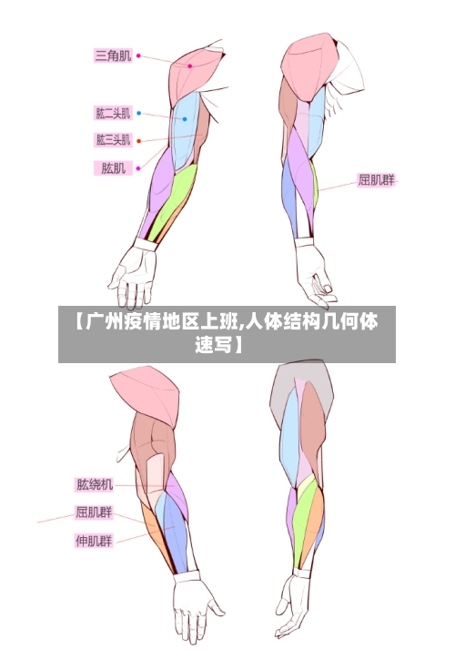 【广州疫情地区上班,人体结构几何体速写】-第2张图片