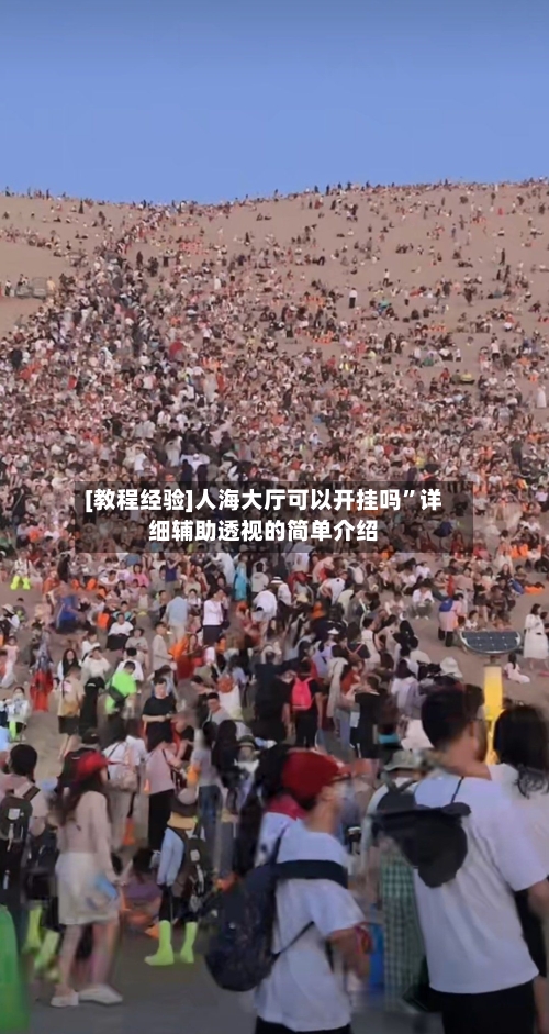 [教程经验]人海大厅可以开挂吗	”详细辅助透视的简单介绍-第2张图片